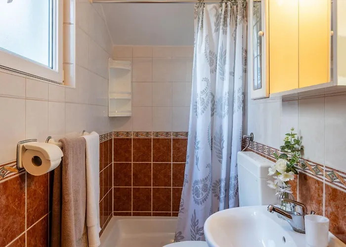 Kapovic Apartment *