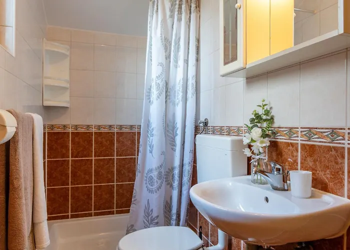 Apartment Kapovic Vir